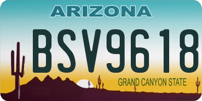 AZ license plate BSV9618