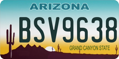 AZ license plate BSV9638