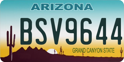 AZ license plate BSV9644