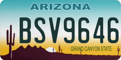 AZ license plate BSV9646