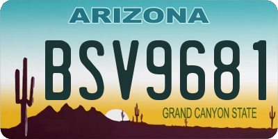 AZ license plate BSV9681