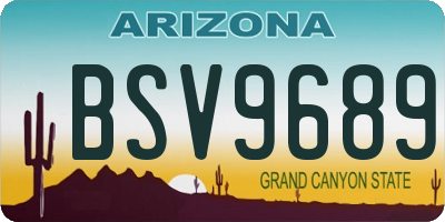 AZ license plate BSV9689