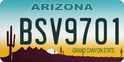 AZ license plate BSV9701