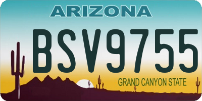 AZ license plate BSV9755