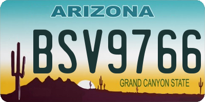 AZ license plate BSV9766