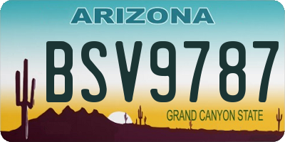 AZ license plate BSV9787