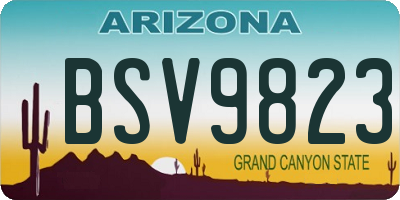 AZ license plate BSV9823