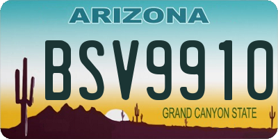 AZ license plate BSV9910