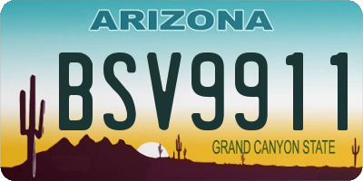 AZ license plate BSV9911