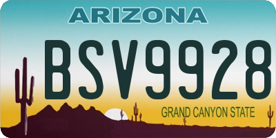 AZ license plate BSV9928