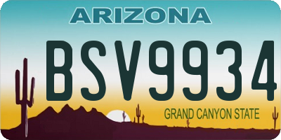 AZ license plate BSV9934