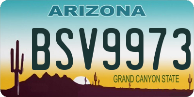 AZ license plate BSV9973