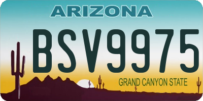 AZ license plate BSV9975