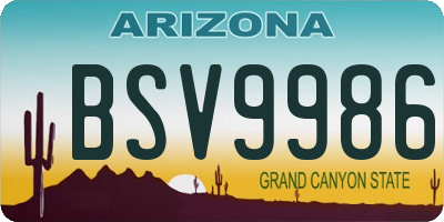 AZ license plate BSV9986