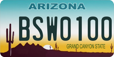 AZ license plate BSW0100