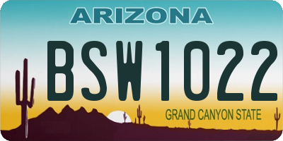 AZ license plate BSW1022