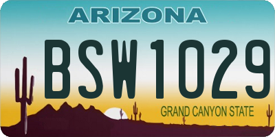 AZ license plate BSW1029