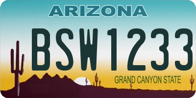 AZ license plate BSW1233