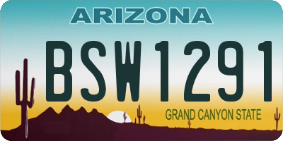 AZ license plate BSW1291