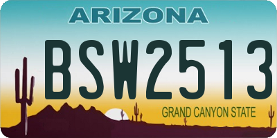 AZ license plate BSW2513