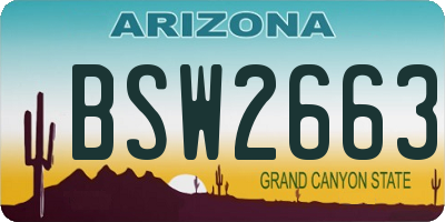 AZ license plate BSW2663