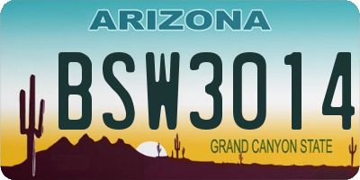 AZ license plate BSW3014