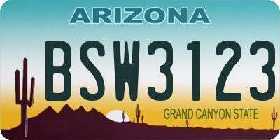 AZ license plate BSW3123