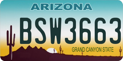 AZ license plate BSW3663