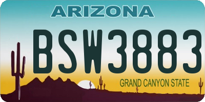 AZ license plate BSW3883