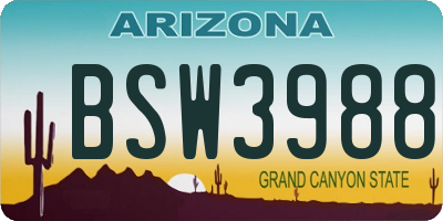 AZ license plate BSW3988