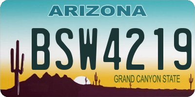 AZ license plate BSW4219