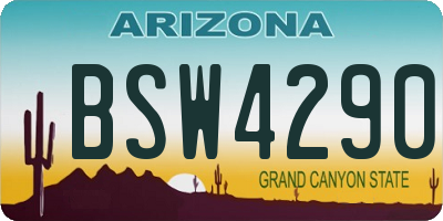 AZ license plate BSW4290