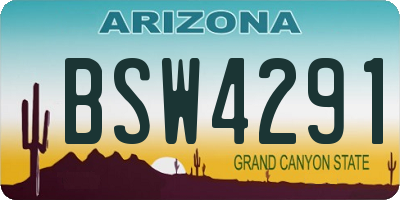 AZ license plate BSW4291