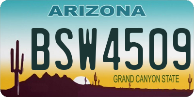 AZ license plate BSW4509