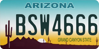 AZ license plate BSW4666