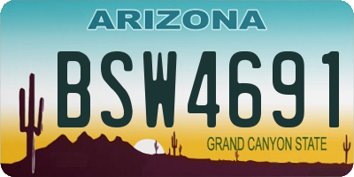 AZ license plate BSW4691