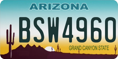 AZ license plate BSW4960