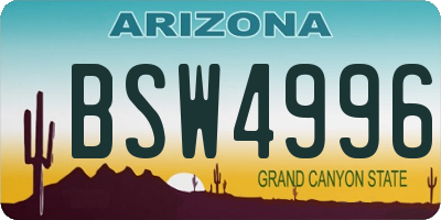 AZ license plate BSW4996
