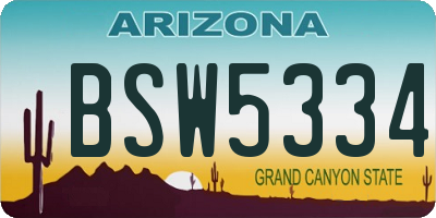 AZ license plate BSW5334