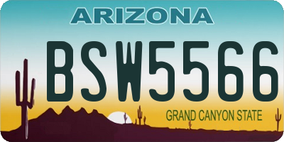 AZ license plate BSW5566
