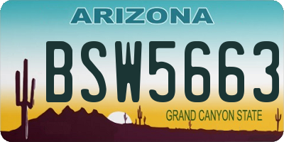 AZ license plate BSW5663