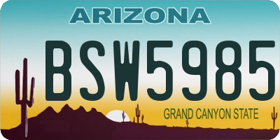 AZ license plate BSW5985