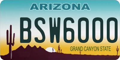 AZ license plate BSW6000