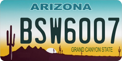 AZ license plate BSW6007