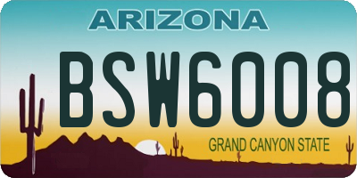 AZ license plate BSW6008