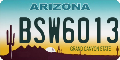 AZ license plate BSW6013