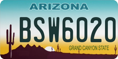 AZ license plate BSW6020