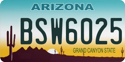 AZ license plate BSW6025