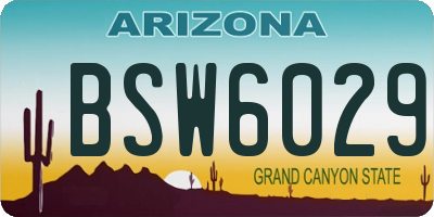 AZ license plate BSW6029