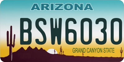 AZ license plate BSW6030